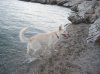 IMGP0080..jpg