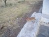 IMGP0072..jpg