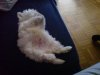 DSC00103..jpg