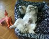 DSC00191..jpg