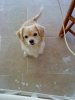 DSC00327..jpg DSC00327..jpg