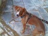 IMG00832-20110811-1&.jpg