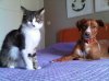 IMG00373-20110327-1&.jpg