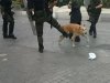 loukanikos1..jpg