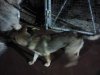 2011-10-09 20.23.58.jpg