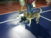 2011-10-09 19.48.39.jpg