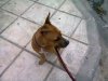 Photo0087..jpg
