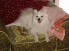 DSC02151..jpg DSC02151..jpg