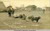 1916 dogs with tu&.jpg