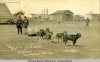 1916 dogs with tu&.jpg 1916 dogs with tu&.jpg