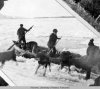 1910 - dog mail y.jpg 1910 - dog mail y.jpg