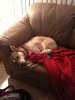 220px-SleepingDom.jpg