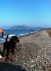 Εικόνα 219..jpg