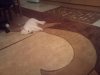 IMG_20111120_213121&.jpg