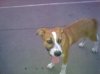 Picture 095..jpg