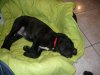 P1000820 (640x480)..jpg