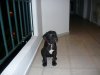 P1000822 (640x480)..jpg