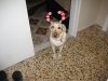 IMG_2159..jpg