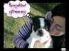 pizap.com132120849.jpg