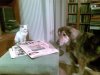 12122009..jpg 12122009..jpg