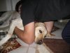 IMG_2089..jpg