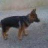 mocanu
