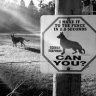 Wolfpaw