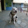 Drogi