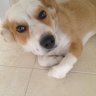 RockyIsTheBest