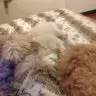 Mirka