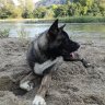 francotheakita
