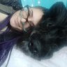 Ντίναschnauzer