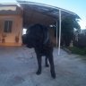 IosifGav