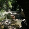 nikoleta6626