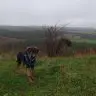 Sokamlet4