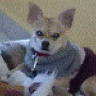 MIKY