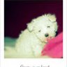 Betty