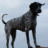 fotis_utmost
