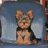 yorki7