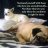 Pegy_m