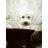 dafni1812