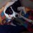 Vassilis.Arya