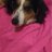 Spirito_Ch