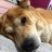 genous_8hlykou