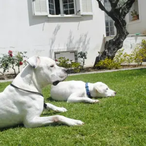 Μoby & Diego profiles