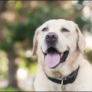 Smile!