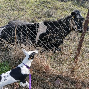 IMG_20201230_122516.jpg