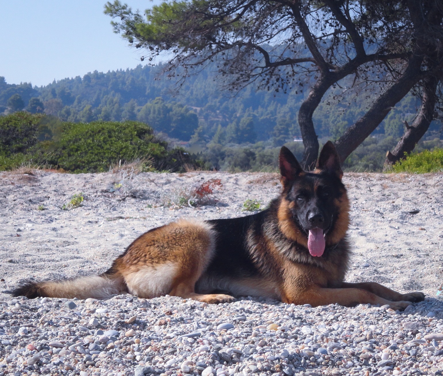 Καλοκαιρι 2014