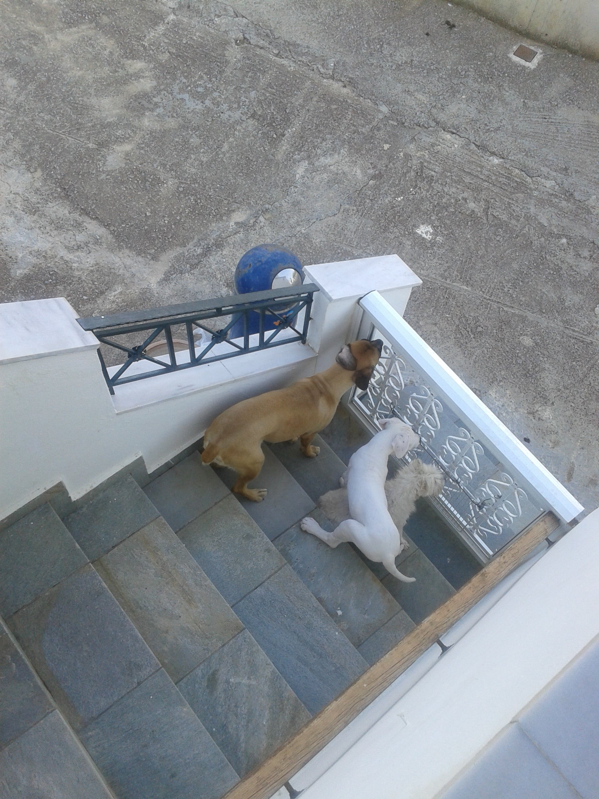ελα μαμααα ανοιξε μας
