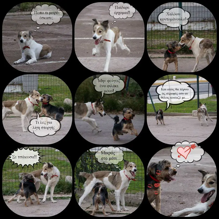 Love story
